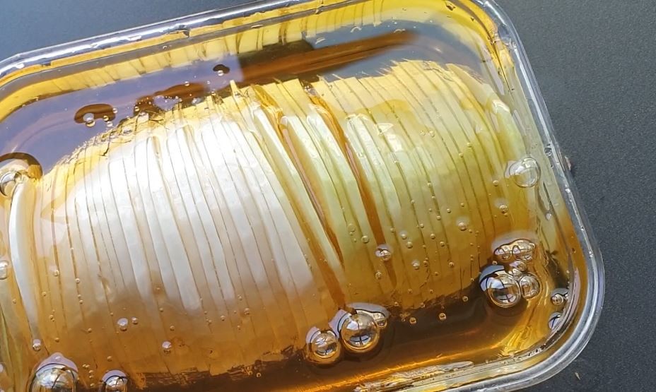 유튜브 '집나간아들 Runaway Son'