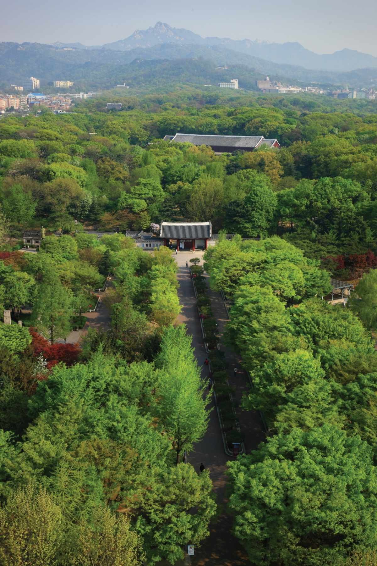 종묘 전경 /  국가유산청 국가유산포털