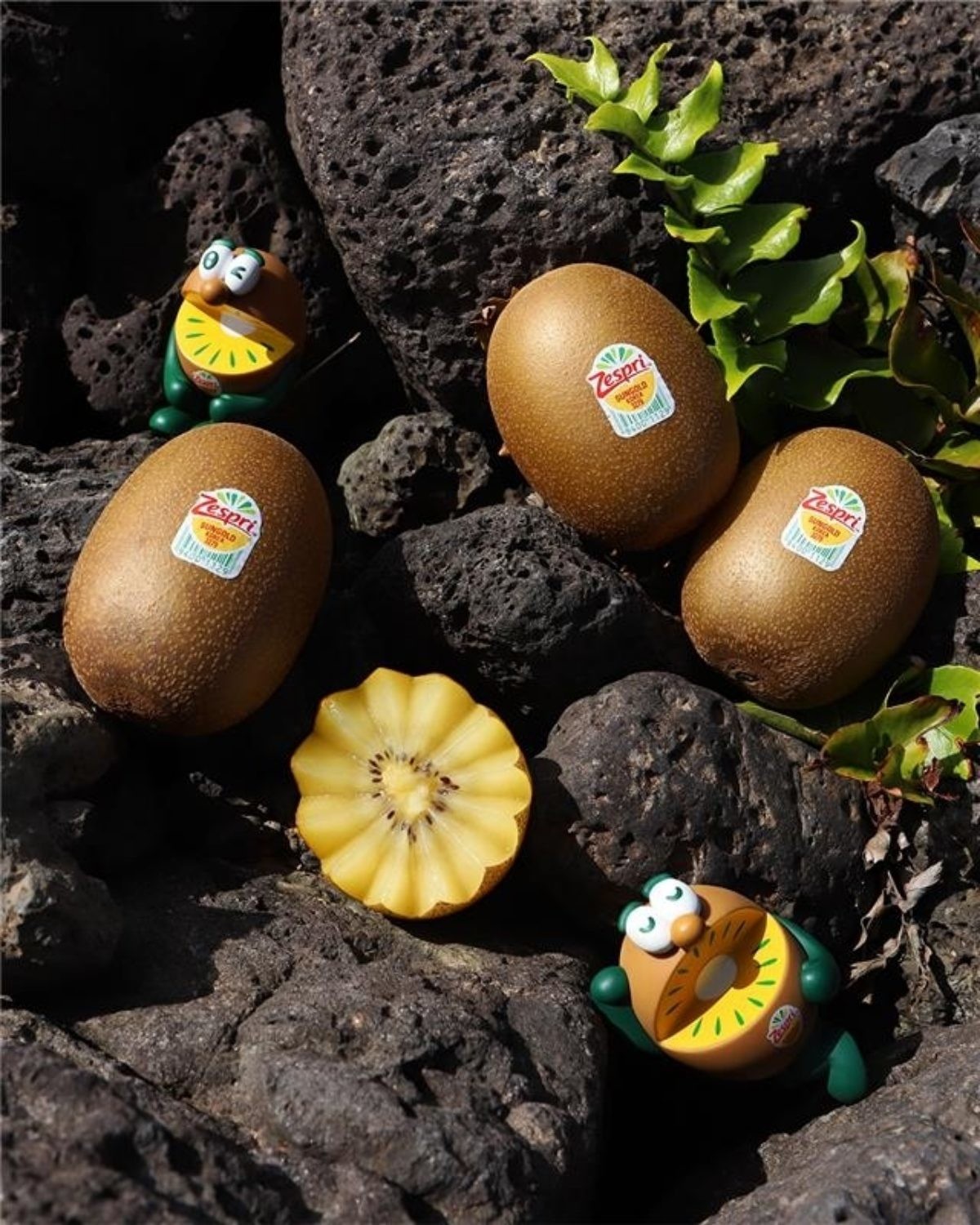 썬골드키위 / 제스프리 제공