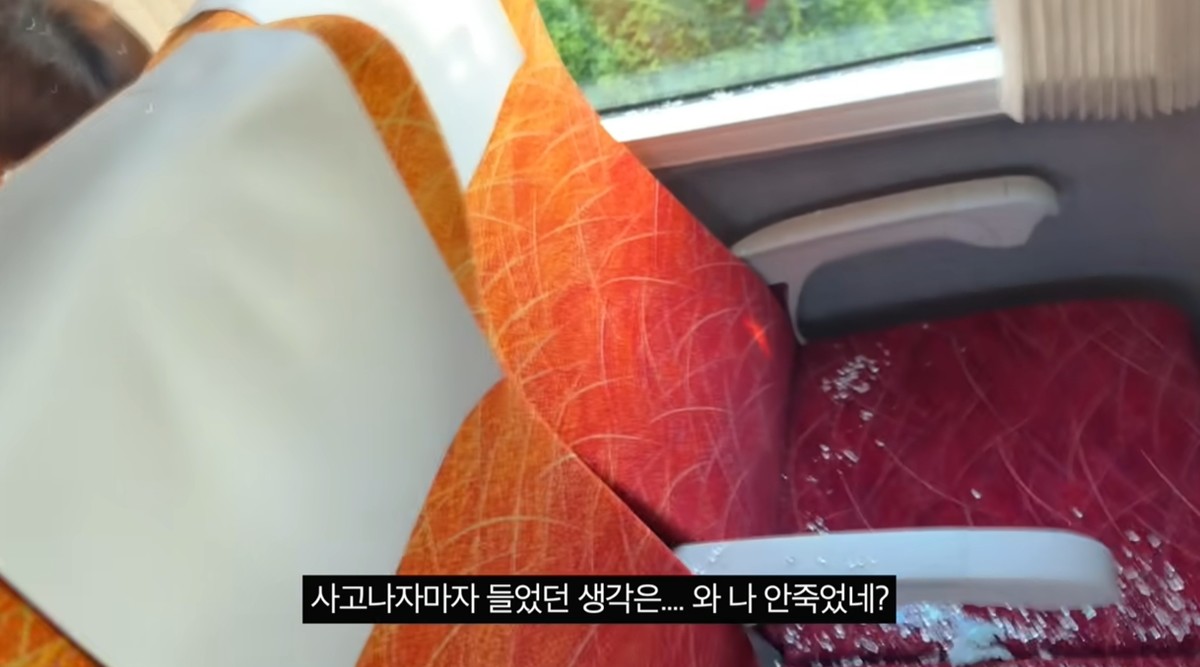 유튜브 채널 '데일리 조이'