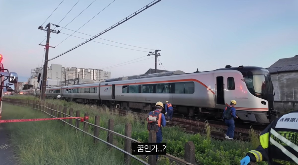 유튜브 채널 '데일리 조이'