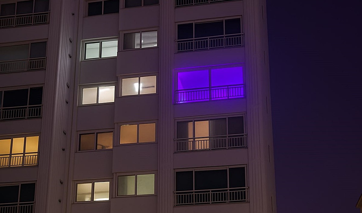 아파트 창문으로 보이는 식물등(식물재배등) 불빛 모습. 기사 이해를 돕기 위한 자료 사진입니다. 실제 모습과 다소 차이가 있을 수 있습니다.