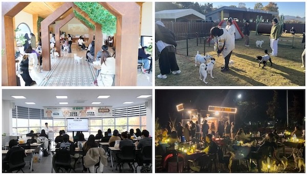 임실로 떠나는 입양 교감 캠핑 / 임실군