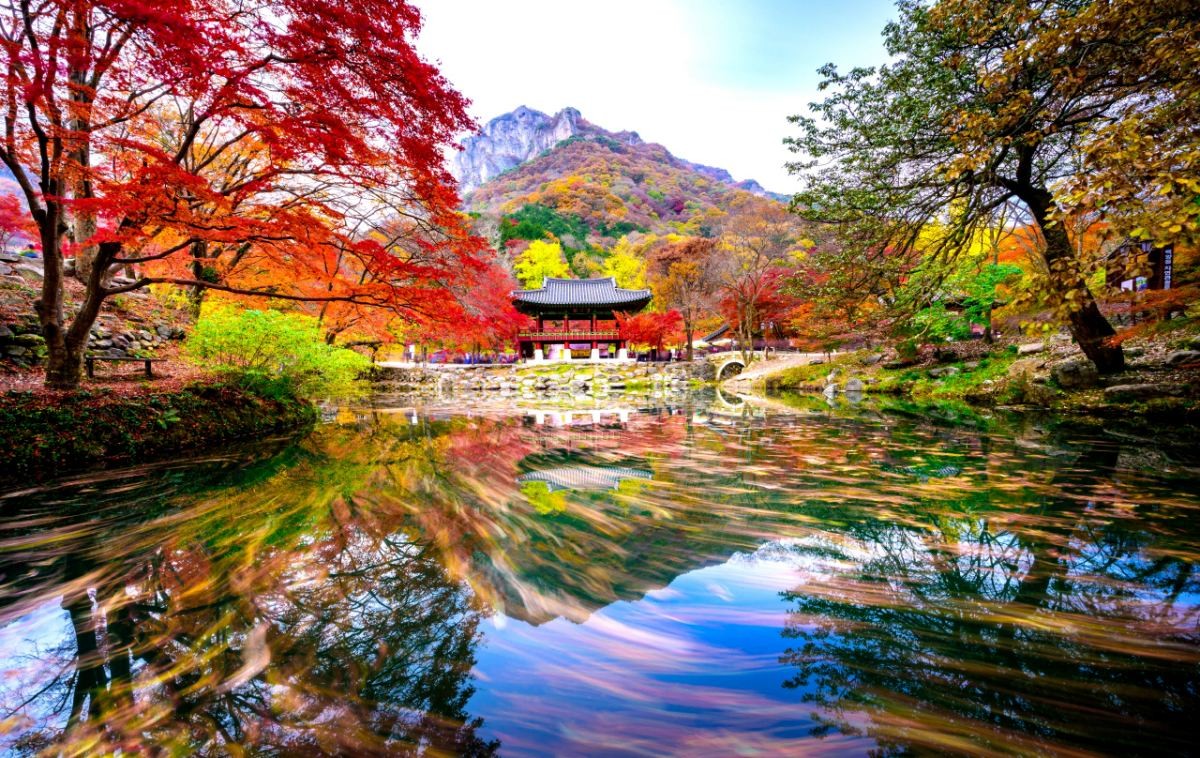 단풍으로 물든 백양사. / 뉴스1