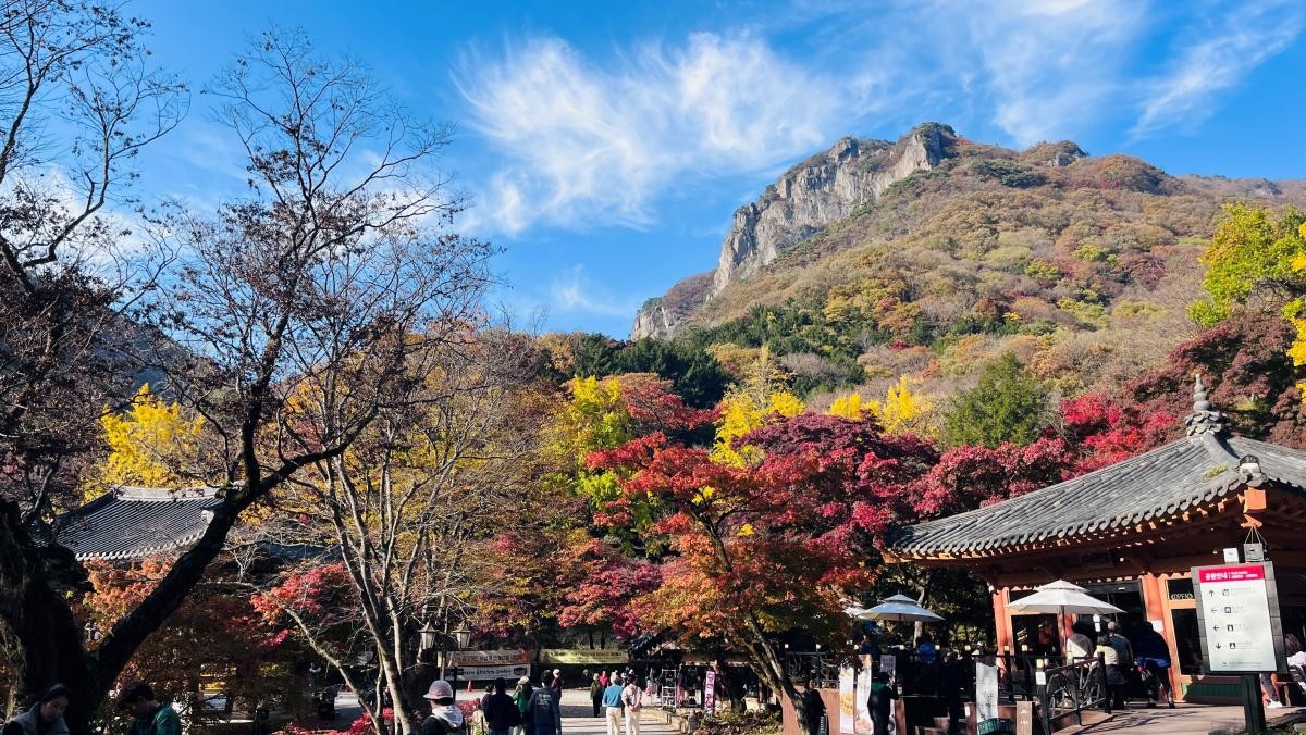 단풍 물든 백양사와 백암산. / 뉴스1