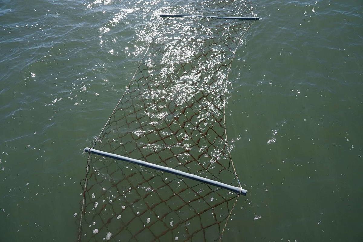 김 양식장 모습 / 서천군 제공, 뉴스1