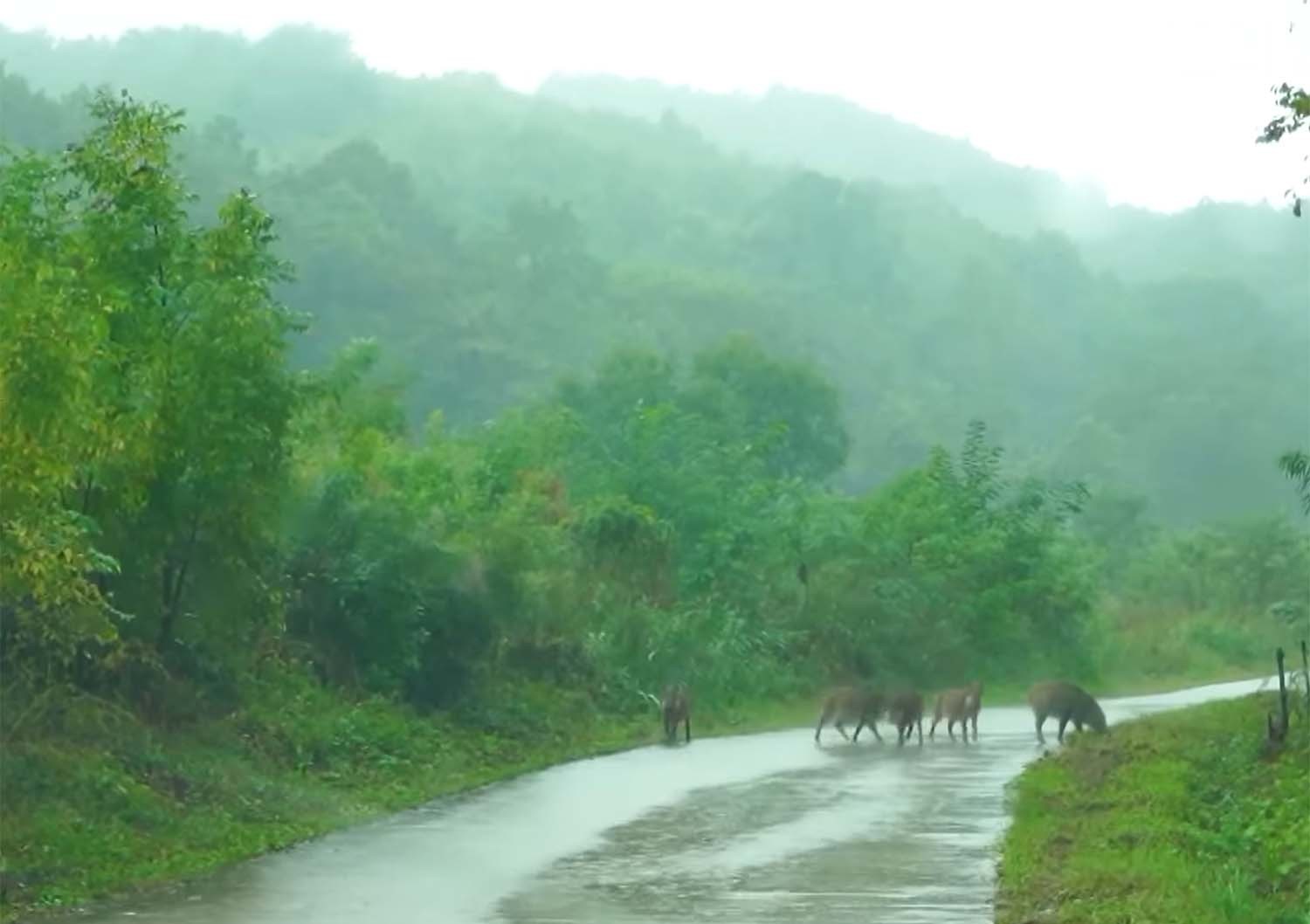 민통선 내부. / EBS