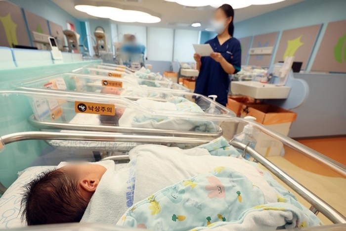 기사의 이해를 돕기 위한 사진 / 뉴스1