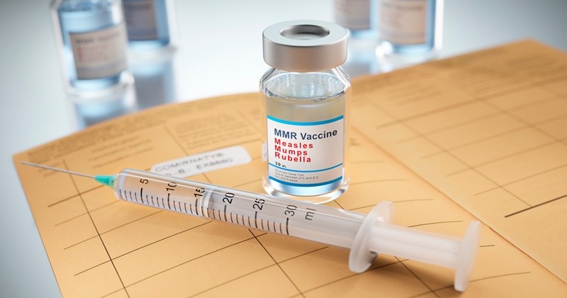 기사의 이해를 돕기 위한 사진 / peterschreiber.media-shutterstock.com