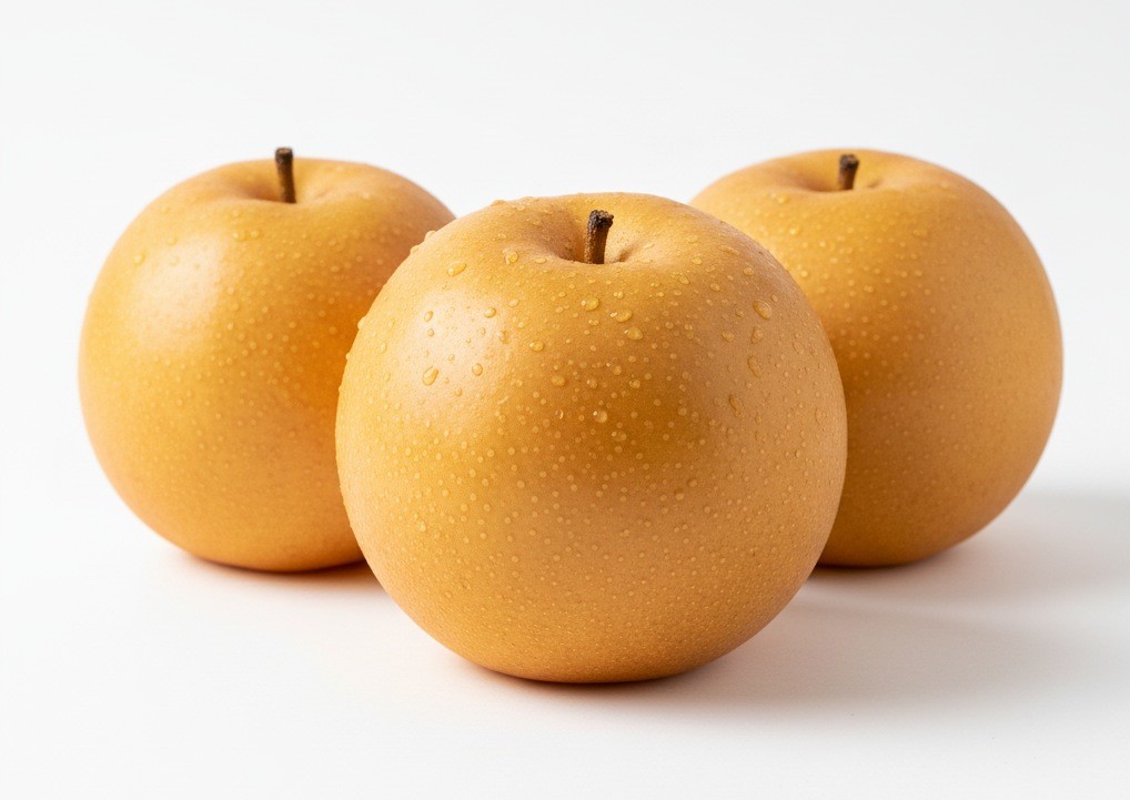 AI로 생성한 배 자료사진.