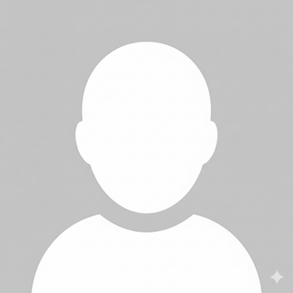 안지현 기자 프로필