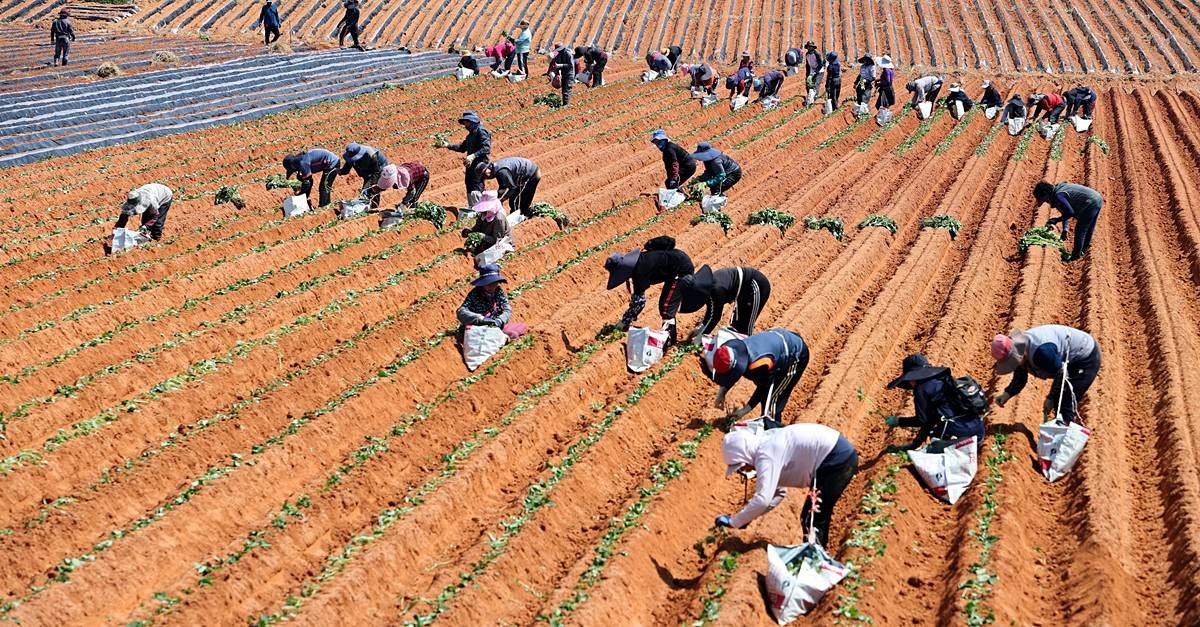 기사 이해를 돕기 위한 자료 사진 / 뉴스1