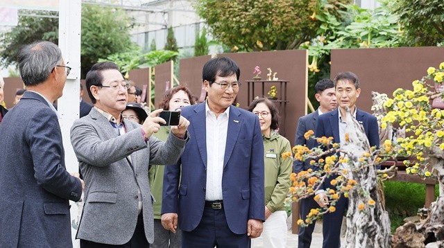 김영록 전남도지사가 명품국화분재 전시관에서 분재를 촬영하고있다.