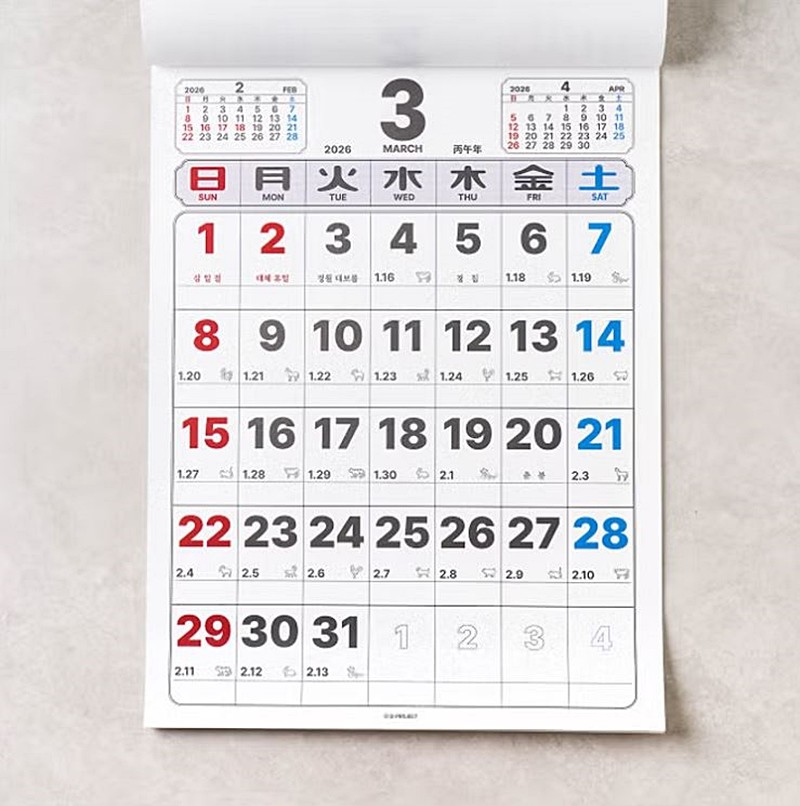 다이소가 2000원에 출시한 '2026 뜯어 쓰는 벽걸이 달력' 모습 / 다이소 제공
