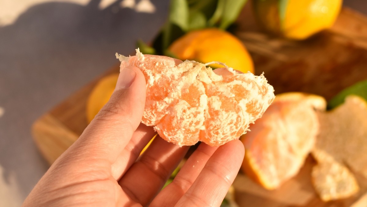 귤에 붙어 있는 귤락 / Gulnazina Javda-shutterstock.com