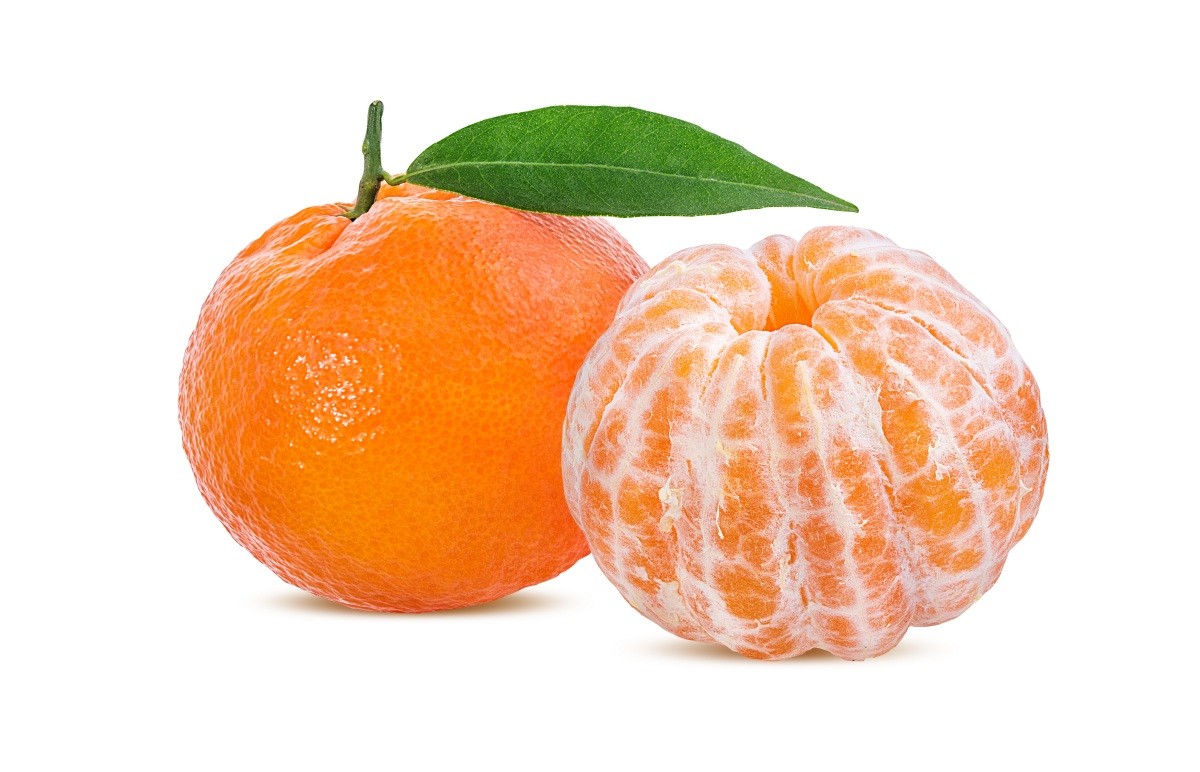 감귤 이미지 / Chatham172-shutterstock.com