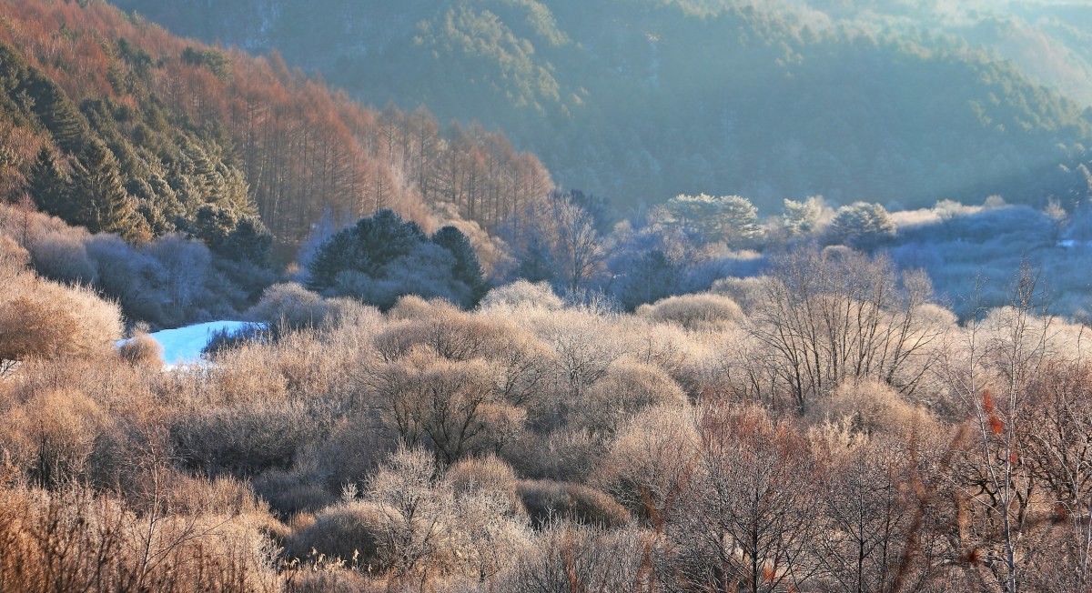 인제 비밀의정원. / 연합뉴스