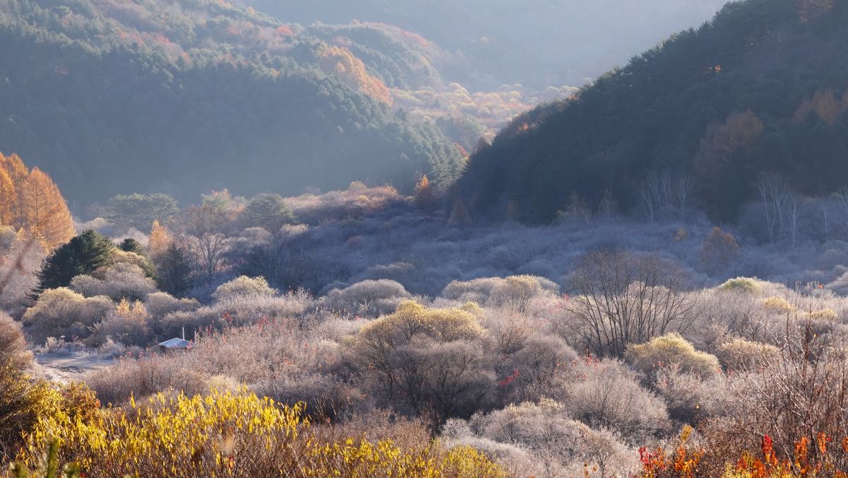 인제 비밀의정원. / 연합뉴스