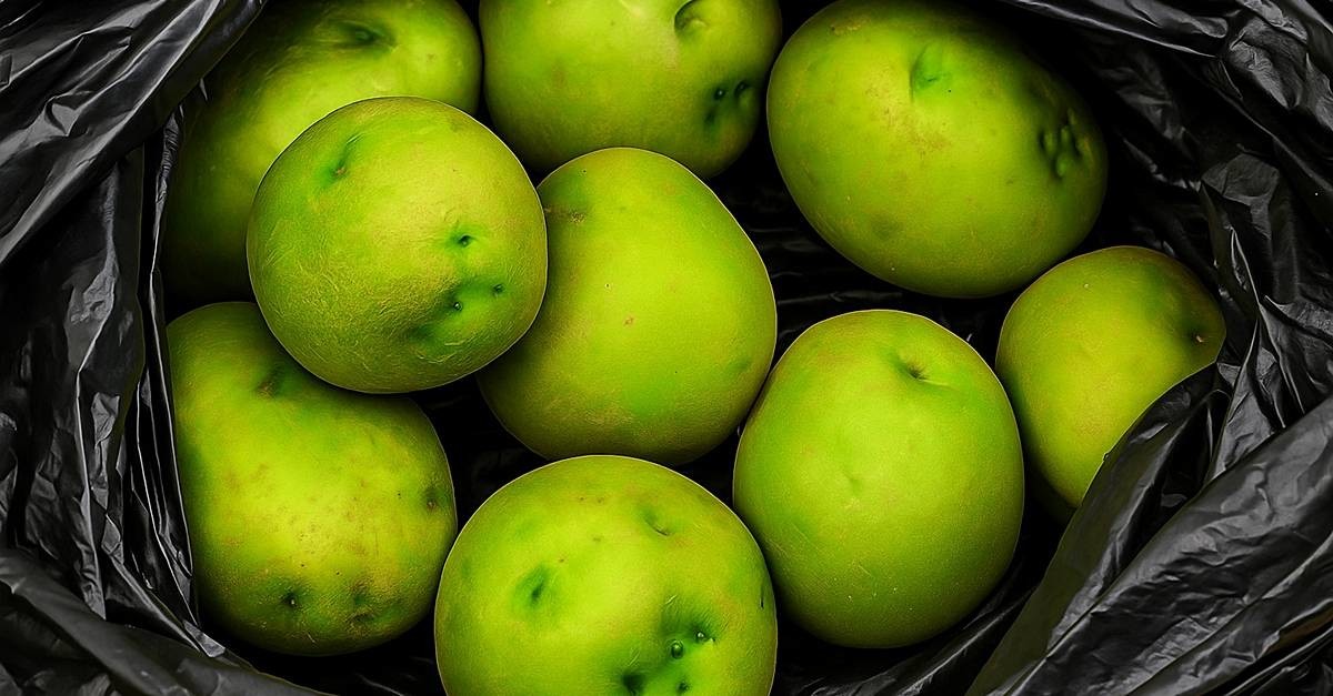 기사에 대한 이해를 돕기 위해 AI 툴로 제작한 자료 사진