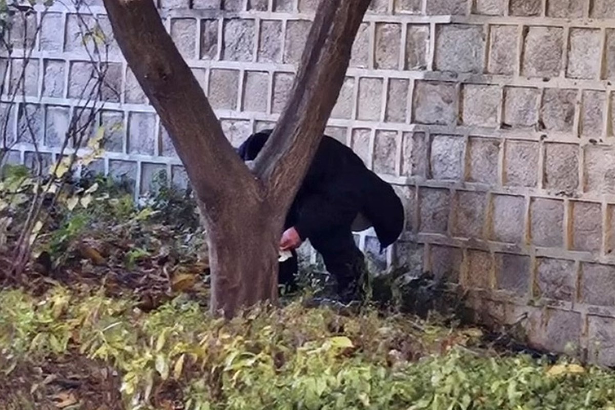 최근 SNS에서 확산된 경복궁 돌담길 아래에서 용변을 보는 남성 모습. 서울 종로경찰서는 지난 10일 오후 3시 30분쯤 서울 종로구에 있는 경복궁 북문(신무문)에서 용변을 본 중국인 추정 남성에게 범칙금 5만 원을 부과한 것으로 전해졌다. 사건 직후 주요 SNS에서 공개돼 논란을 부른 문제의 장면 영상을 보면 중국인 추정 남성은 돌담 아래 쭈그려 앉아 용변을 보다가 경찰 제지에 엉거주춤한 자세로 일어섰다. / SNS 화면 캡처-연합뉴스