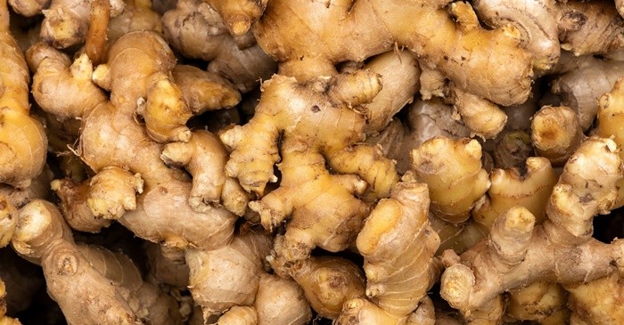 생강 / Avocado_studio-shutterstock.com