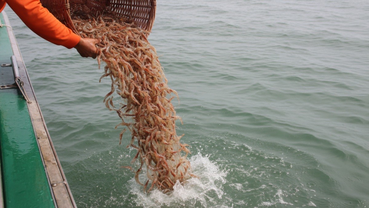 기사를 바탕으로 AI가 생성한 자료사진.