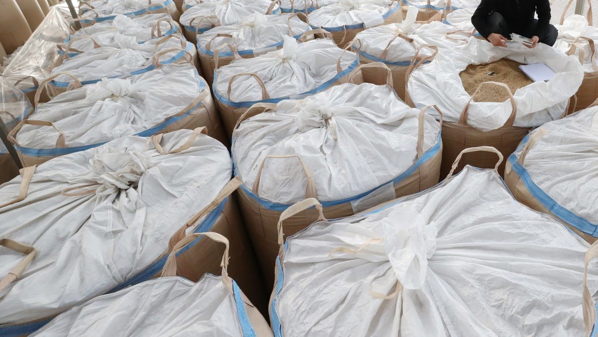 수매한 벼. / 뉴스1