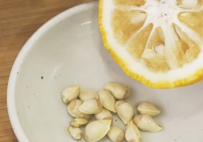 유튜브 '백년밥상TV'