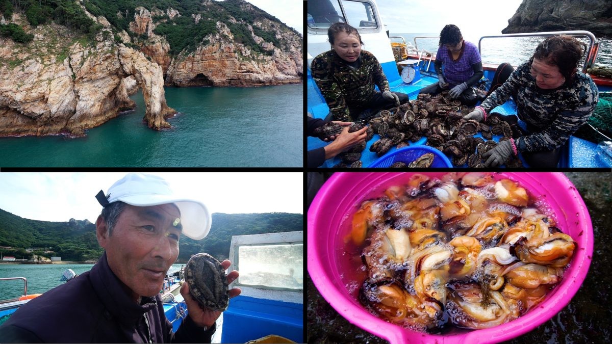 EBS1 '한국기행' 미리보기 페이지에서 제공하는 '하루 40명만 허락된 섬' 편 자료 사진. / EBS1 제공