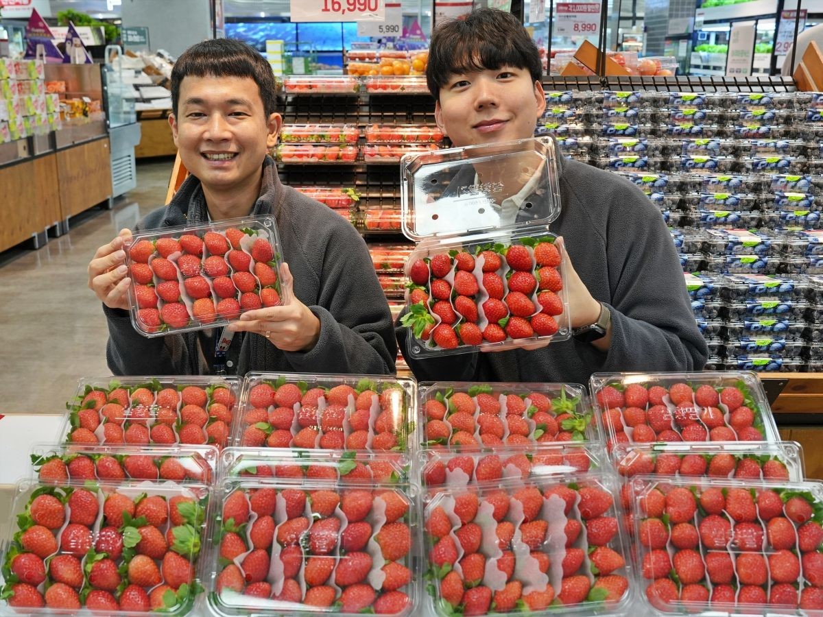 롯데마트, '무라벨 설향 딸기'(500g/국산)를 출시. / 롯데마트 제공