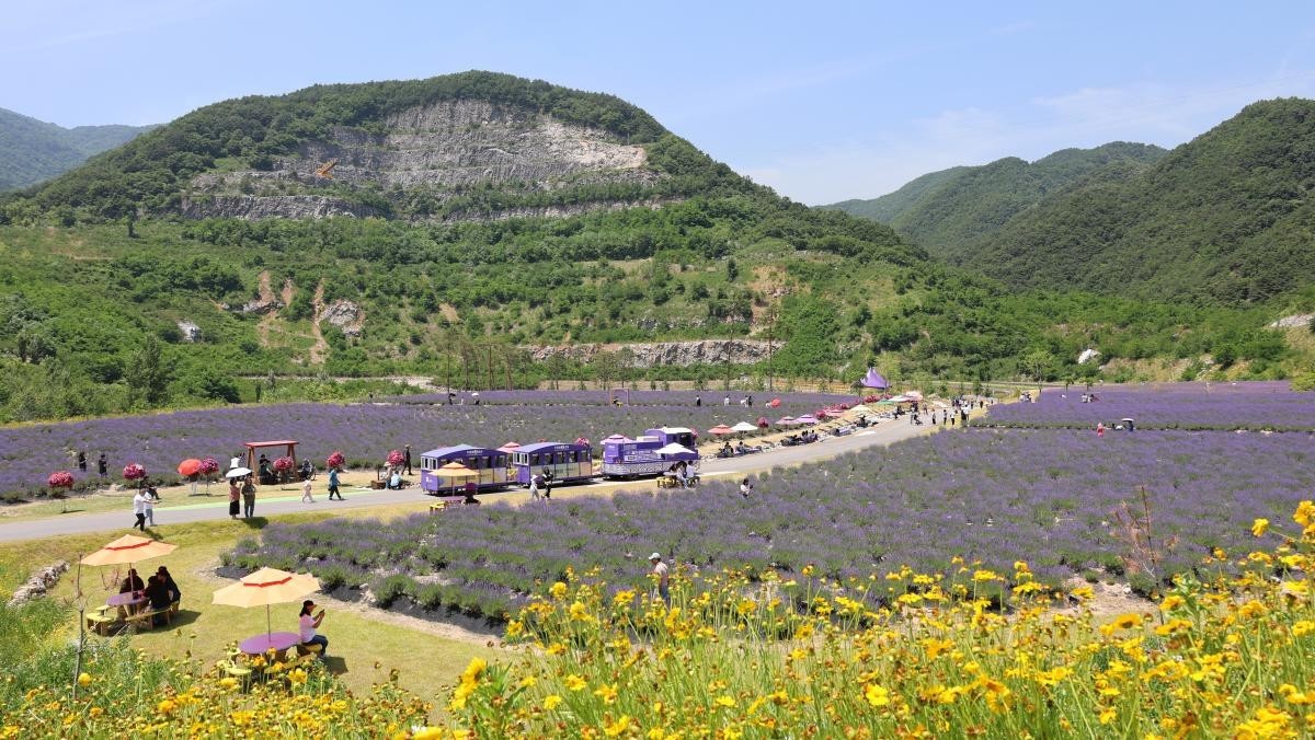 무릉별유천지. / 뉴스1