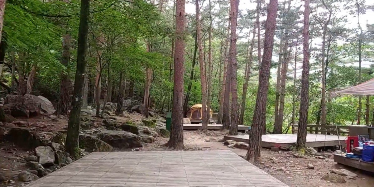 무릉계곡 힐링캠프장 모습. / 유튜브 '아웃도어 용사 TV' 영상 캡쳐