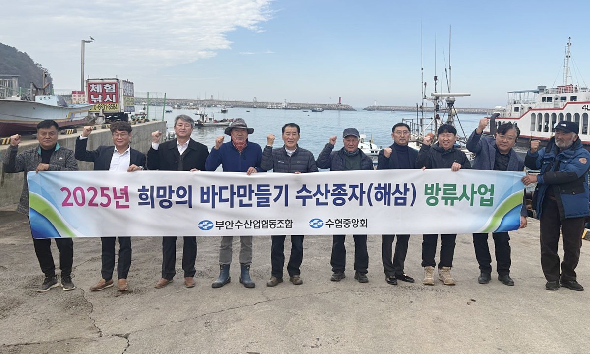 부안수산업협동조합은 12일 어업인들의 소득 창출과 수산자원 조성 회복을 위해 주요 소득원 가운데 하나인 해삼 종자 5만 8430미를 치도 및 진리어촌계 요청에 따라 전북 부안군 위도면 연안에 방류했다. 이번에 방류된 해삼 종자는 무게가 1.0~7.0g으로 전염병 검사 등 정상적으로 통과한 건강한 종자로 방류 후 2~3년이면 상품화가 가능해 어촌계 어업인들의 소득을 높이는 데 크게 기여할 것으로 기대된다. / 부안수산업협동조합 제공