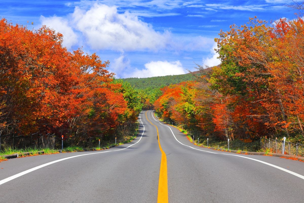 제주 1100고지. / ju999-shutterstock.com