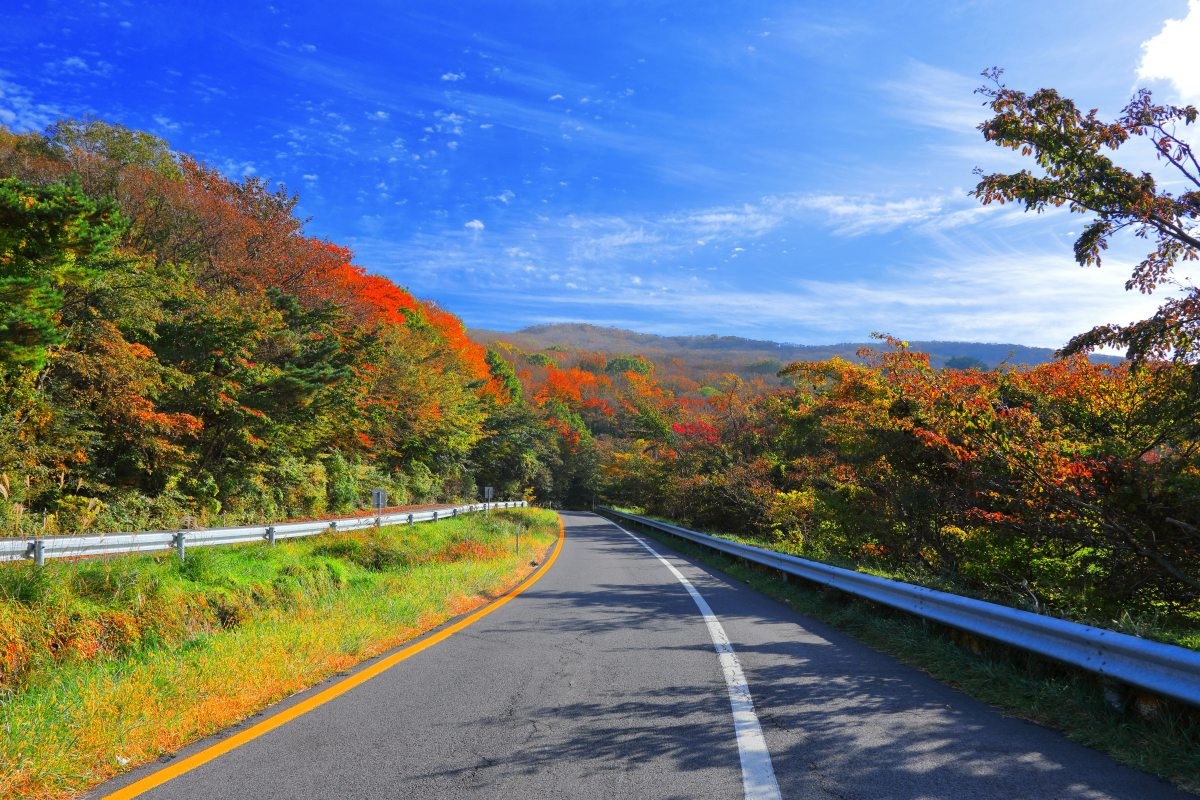 제주 1100도로. / ju999-shutterstock.com
