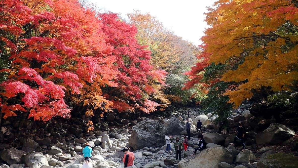 제주 천아계곡. / 뉴스1