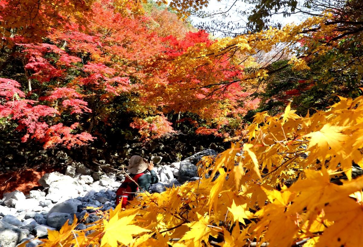 제주 천아계곡. / 뉴스1