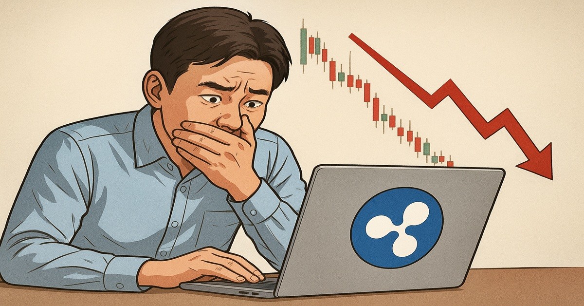 기사 내용을 바탕으로 한 참고 이미지