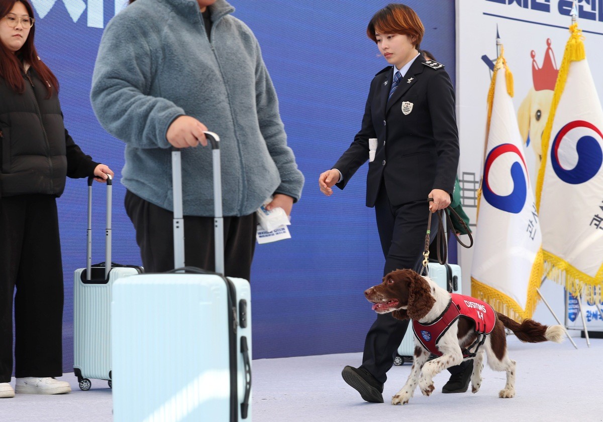 14일 인천 영종도 하늘체육공원에서 열린 관세청장배 탐지견 경진대회에서 탐지견 팬텀이 마약 탐지 시연을 하고 있다. / 연합뉴스