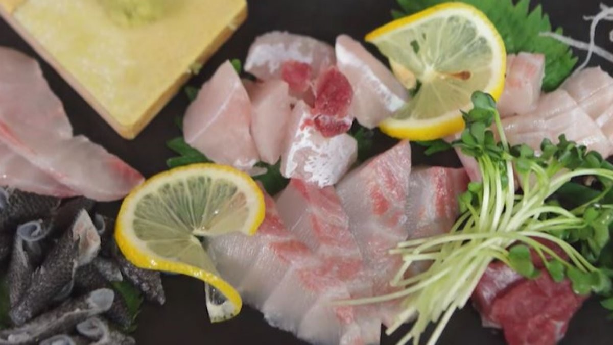 돌돔회. / 유튜브 '입질의추억TV jiminTV'