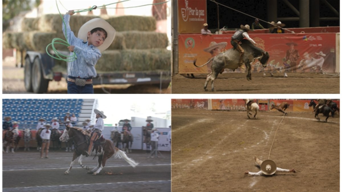 EBS1 '극한직업' 미리보기 페이지에서 제공하는 '멕시코 카우보이 차로' 편 자료 사진. / EBS 제공