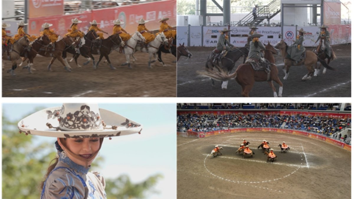 EBS1 '극한직업' 미리보기 페이지에서 제공하는 '멕시코 카우보이 차로' 편 자료 사진. / EBS 제공