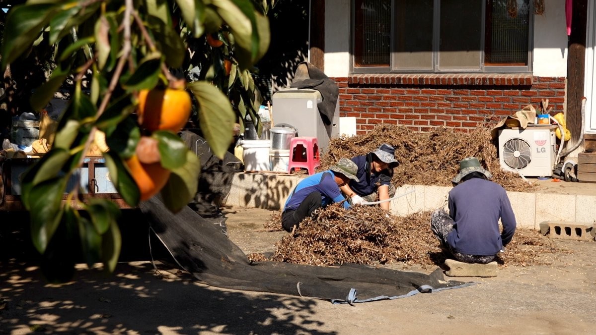 EBS1 '한국기행' 미리보기 페이지에서 제공하는 '하동 고향집 풍경' 편 자료 사진. / EBS1 제공