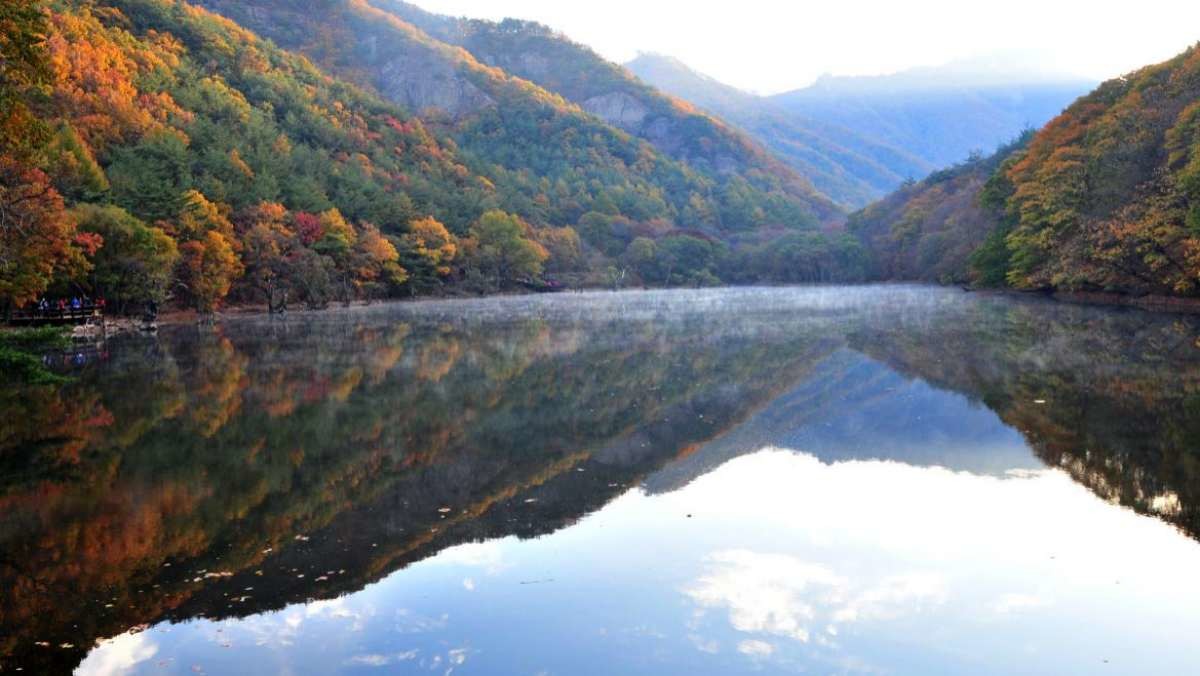 경북 청송군 주왕산 국립공원 주산지. / 뉴스1