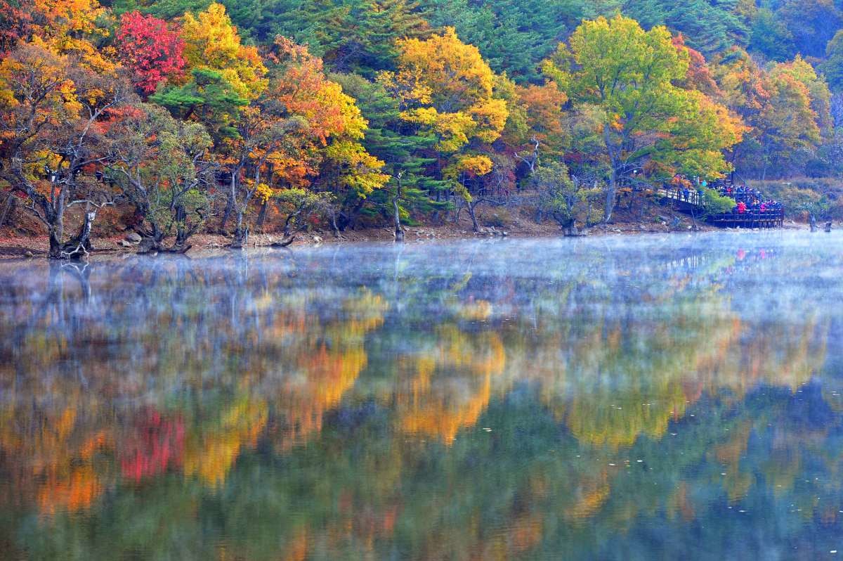 경북 청송군 주왕산 국립공원 주산지. / 뉴스1