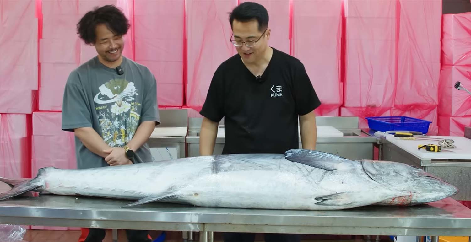 재방어 / '일타쿠마' 유튜브