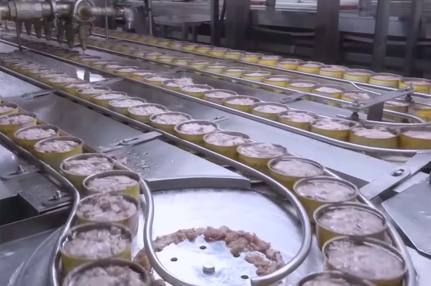 참치캔이 만들어지는 모습. / EBS