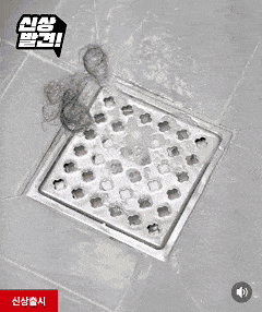 다이소 신상 '욕실 배수구 거름망'. 다이소 영상 바탕으로 직접 제작한 움짤.