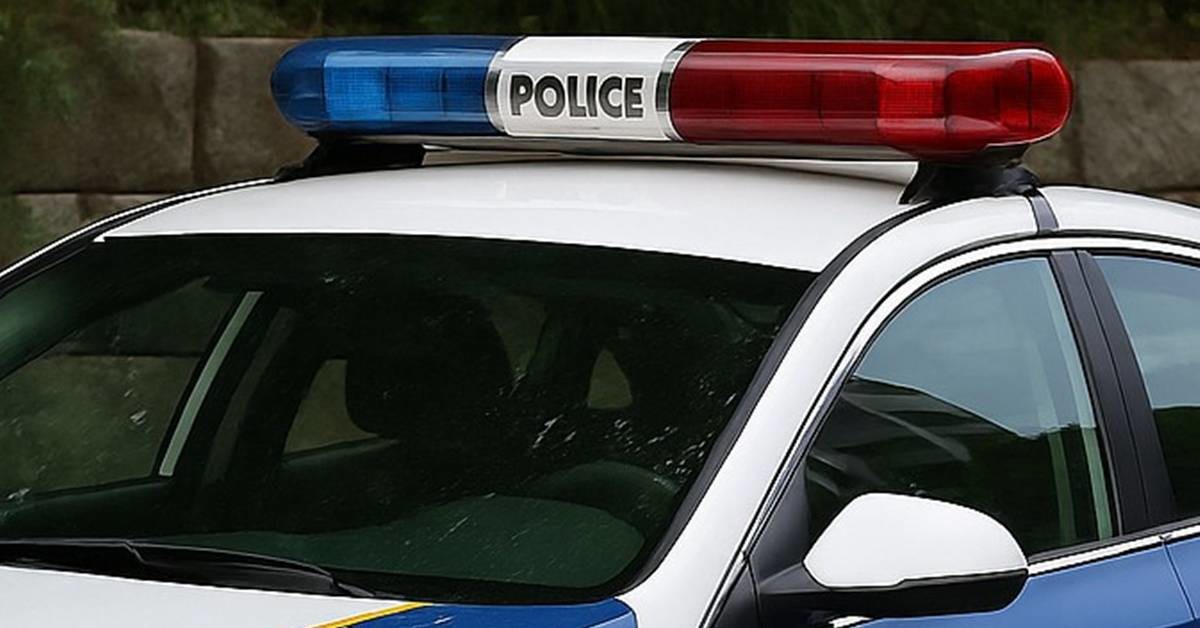 기사에 대한 이해를 돕기 위해 AI 툴로 제작한 자료 사진