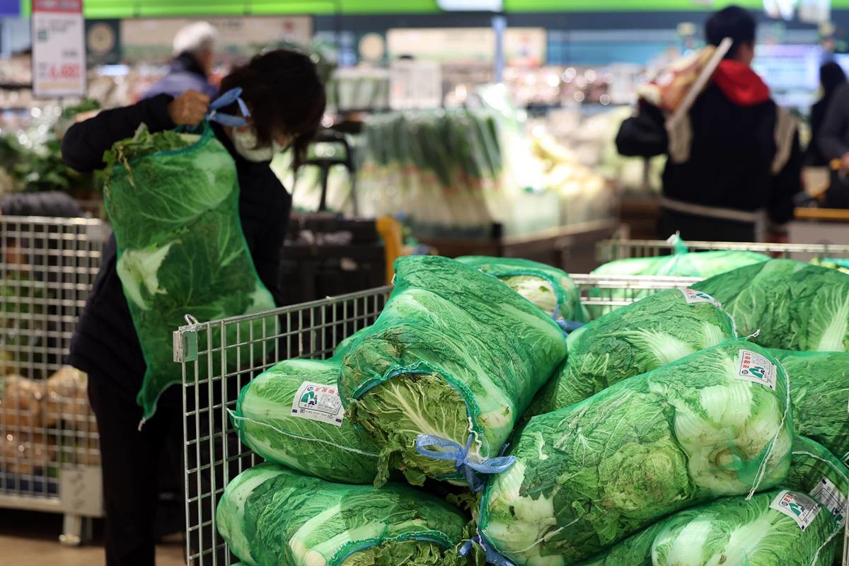 배추를 고르는 시민들 / 뉴스1